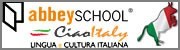 School of Italian in Turin Italy